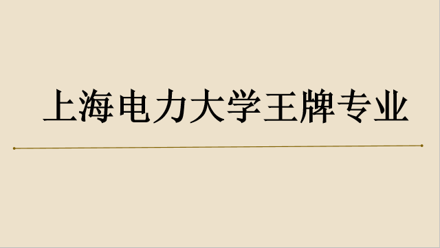 上海电力大学有哪些专业 上海电力大学专业排名