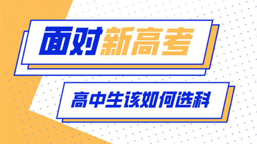 物生政组合怎么样 物生政组合是不是最难