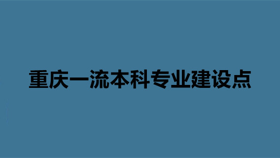 重庆一流本科专业建设点 重庆国家级一流本科专业建设点名单