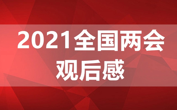 2021两会开幕式观后感    观看2021两会开幕式观后感