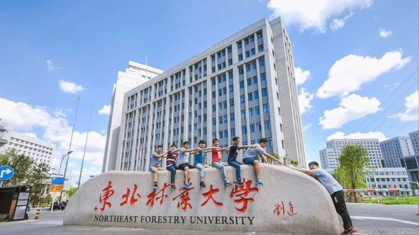 东北林业大学是985还是211大学 东北林业大学王牌专业排名