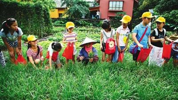 中小学劳动教育课每周不少于一课时 加强中小学劳动教育的必要性