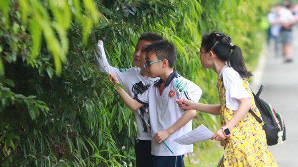 中小学不得公开学生个人的考试成绩名次 中小学要减少考试次数