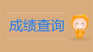 南京传媒学院考试成绩查询 传媒类院校考试成绩查询汇总