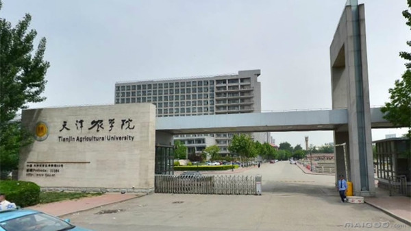 天津农学院更名大学天津农学院更名农业大学请示
