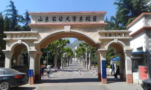 山东农业大学是一本吗 山东农业大学2021年两大招生项目提前招生